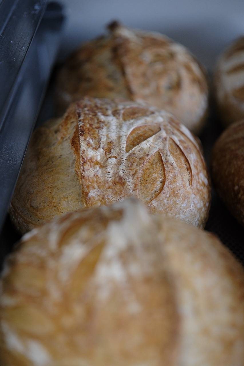 loaves in a row on the tray