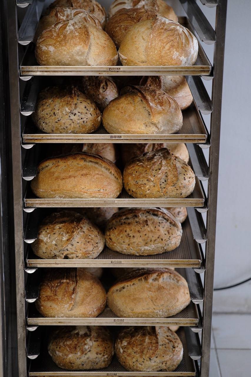 the morning rack