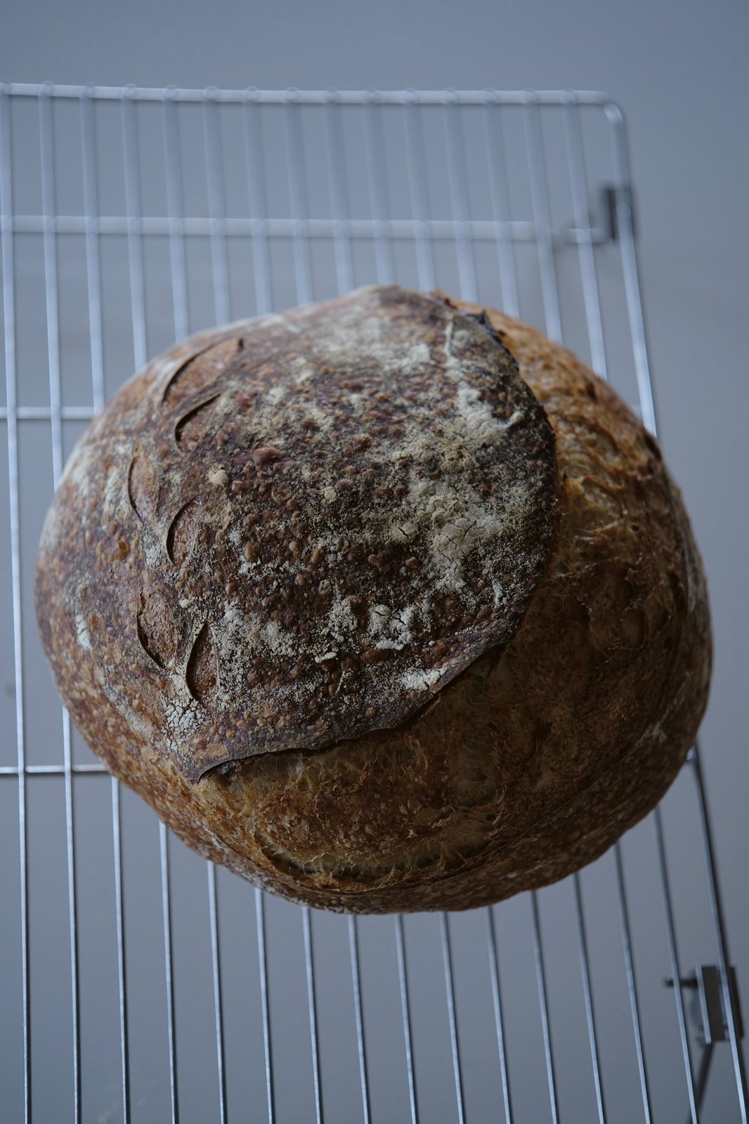 scored crust from above